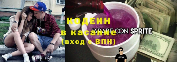хмурый Алзамай