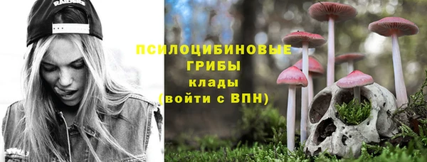 стафф Алексеевка